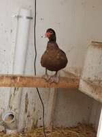 20200121_104154.jpg