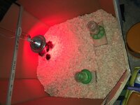 14160180-B8FD-482B-A75B-DCDDBC9DE1AF.jpeg