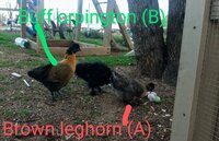 IMG_20200309_192647858~2.jpg