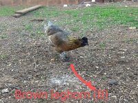 IMG_20200309_192522261~2.jpg