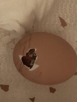 1B40800F-1B57-4E66-937B-7EA8FF317FE9.jpeg