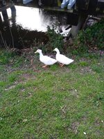 20200311_190319.jpg