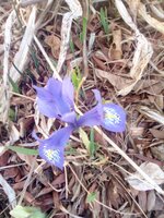 IMG_20200312_085117.jpg