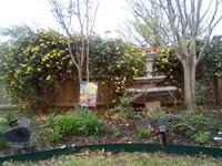 IMG_20200312_175121.jpg