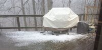 2020-3-12 Hail.jpg