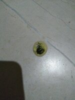 WhatsApp Image 2020-03-14 at 12.15.33 AM.jpeg