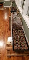 20200313_234746.jpg