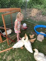 B0F985AA-E358-4238-BBAC-BDA77352391B.jpeg