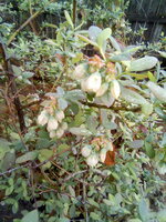 IMG_20200314_133335.jpg