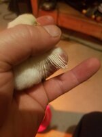 20200313_172551.jpg
