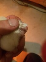 20200313_172505.jpg