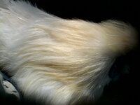 IMG_20200314_125919.jpg