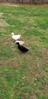 20200315_085949.jpg