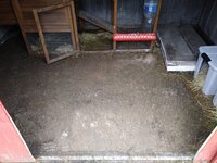 20200315_114211.jpg