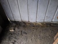 20200315_114221.jpg