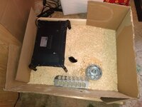 IMG_20200315_155259511.jpg