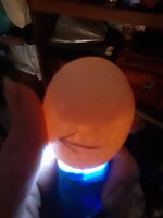 20200316_160541.jpg