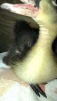 64617113-B099-45BD-980A-8C197B3F6900.jpeg