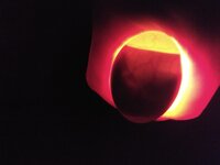IMG_20200318_105004060.jpg