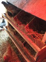 DE07425C-B697-45AA-9133-83E1282ABC5A.jpeg