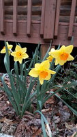 20200310_175845.jpg
