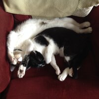 image.jpeg image.jpeg