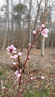 20200311_134350.jpg