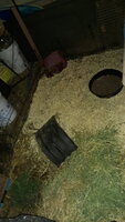 20200320_210324.jpg