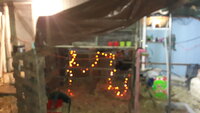 20200320_210404.jpg