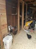 20200321_102219.jpg