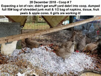 20181228_142205.jpg