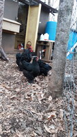 20200321_153221.jpg