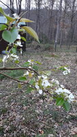 20200321_160233.jpg