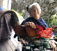 roman on lanai.jpg