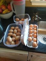 eggs 1.jpg