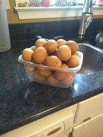 eggs 2.jpg