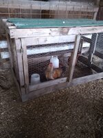 IMG_20200322_163613704.jpg