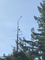 0B927036-C1FA-4586-82D8-5E350717C3E3.jpeg