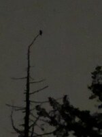 51446E22-9DE0-42C0-8CD7-B1D07882C789.jpeg