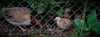 IMG_3282.JPG