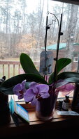 20200323_123634.jpg