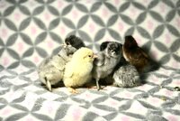 4E23257F-F784-414C-94CF-28C70AA5FE79.jpeg