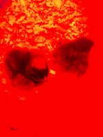 0326201302a_HDR.jpg