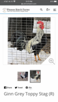 F1EC7C77-F1DB-47DA-B1FD-9E45F078C81C.png