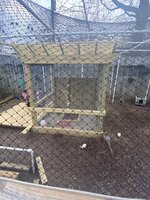E348BA1A-4107-4D98-9E33-07E21D5BBD13.jpeg