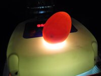 DSCF0918 (2).JPG