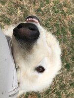 Watching mom_not birds.jpg