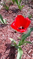 20200327_134549.jpg
