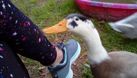 IMG_20200303_175409.jpg