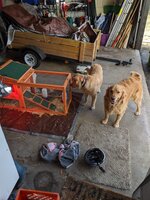 MVIMG_20200301_145442.jpg